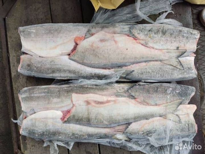 Нерка свежемороженная пбг