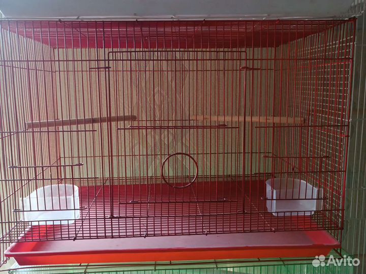 Большие клетки