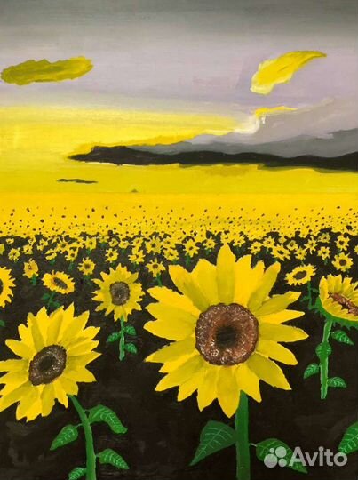 Поле подсолнухов