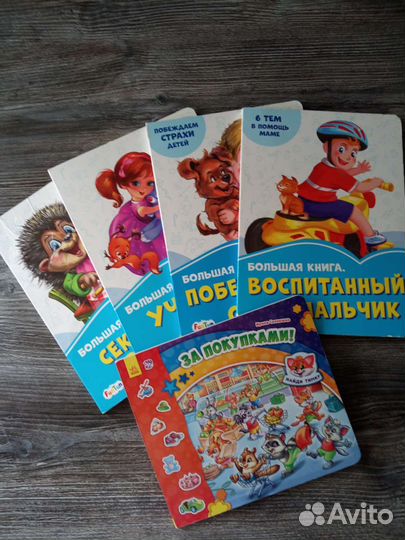 Бронь Серия Большие книги Ирины Солнышко