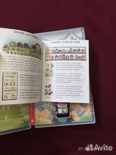 Stardew valley (Nintendo switch)