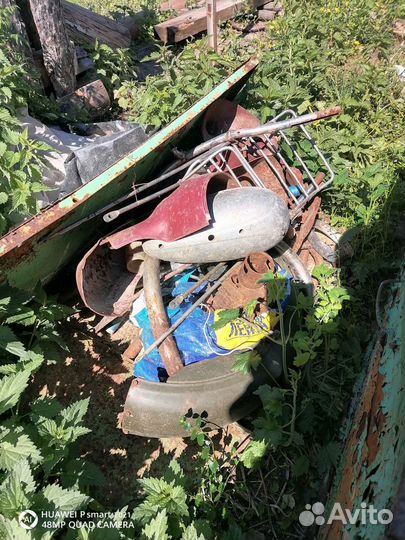 Ява старушка