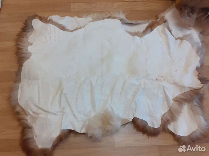 Шкурка животного