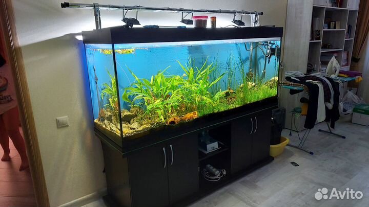 Аквариум