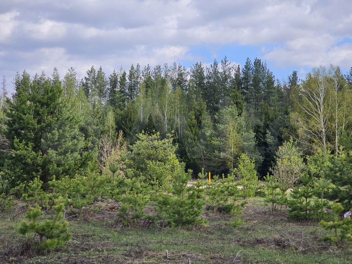 Участок 11,8 сот. (ИЖС)