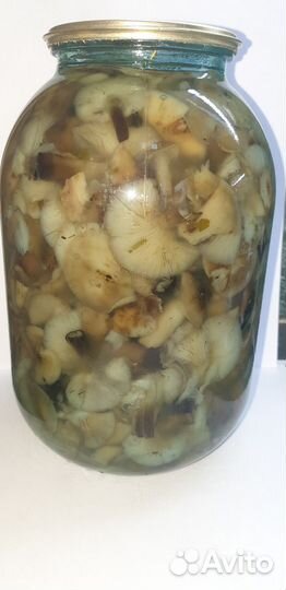 Грибы опята маринованные