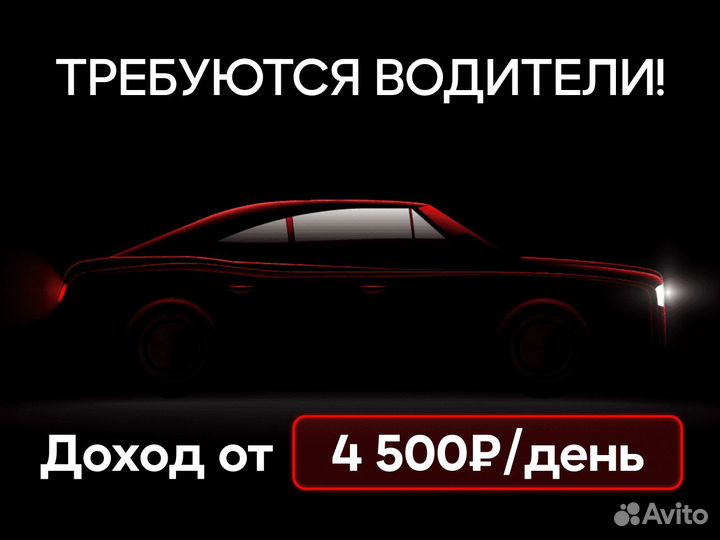Водитель категории b (личное авто)