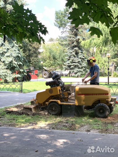 Спилить, удалить, вырубка деревьев