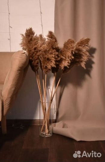 Цветы сухоцветы