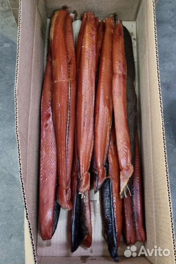 Рыба и морепродукты оптом