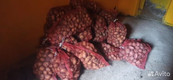 Продам картофель с доставкой