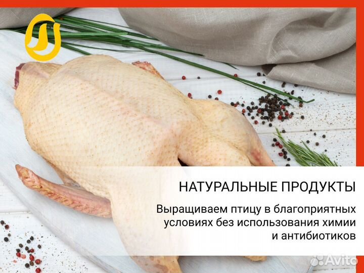 Утка. Собственная ферма