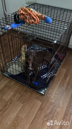 Клетка для собак железная большая