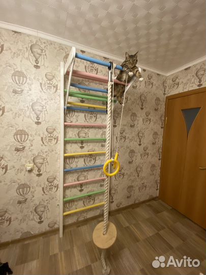 Шведская стенка