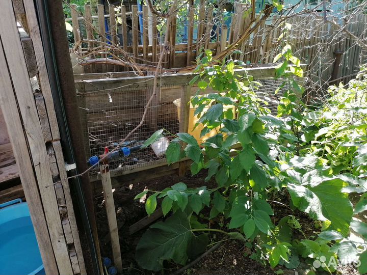 Клетка для кролика большая