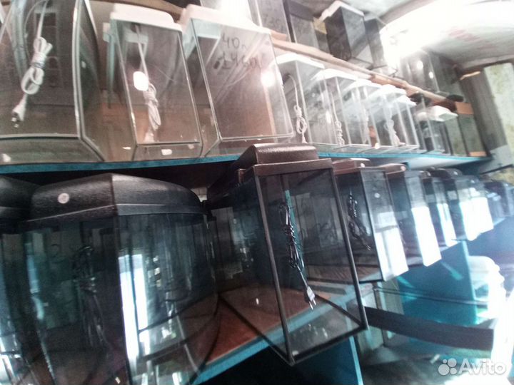 Аквариумы на заказ