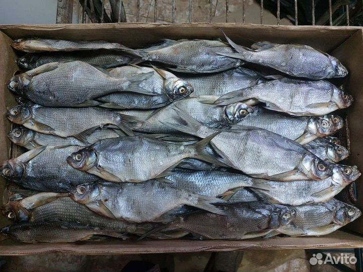 Вяленая рыба