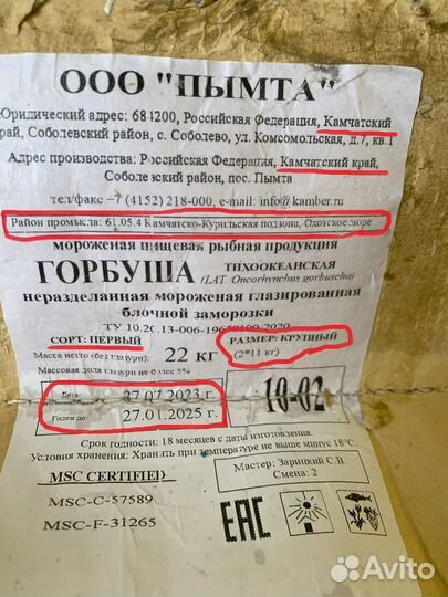 Чавыча / нерка /кижуч / горбуша (камчатка)