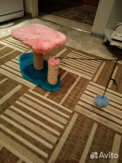 Коктеточка для кошек