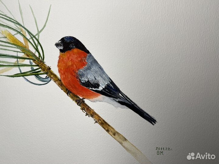 Картина акварелью «Снегирь»