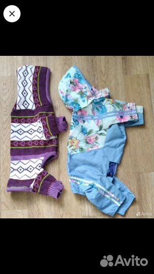 Одежда для собак