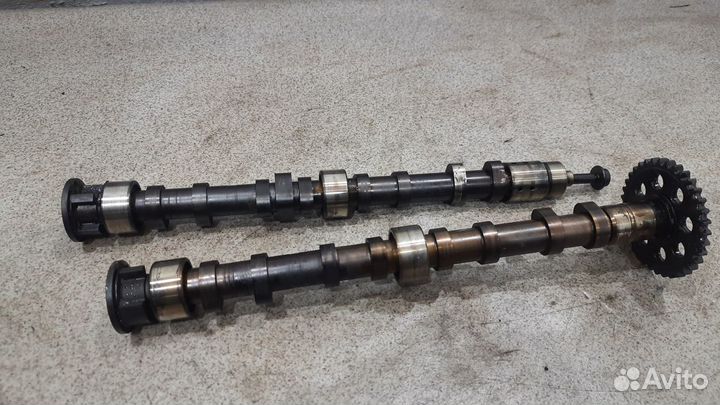 Пара распредвалов впуск выпуск.4 caxc VW Jetta 6