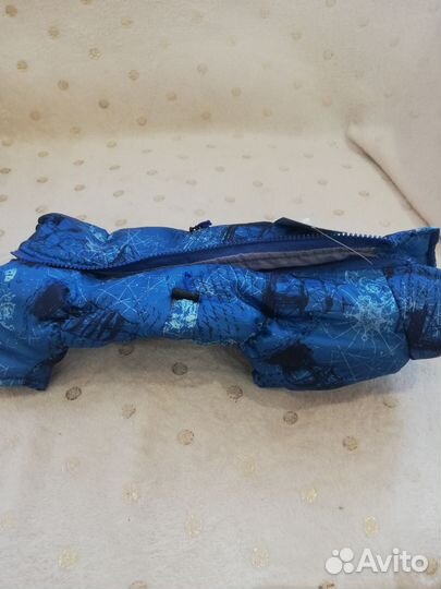 Новый комбинезон для карликовой таксы (Катюшки)