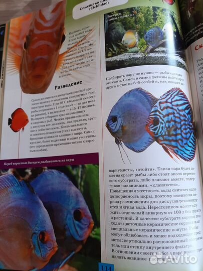 Книги по аквариумистике