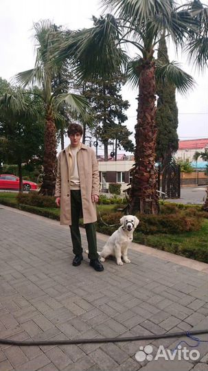 Ведущий и диджей