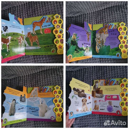 Книжки музыкальные животные и Маша Медведь