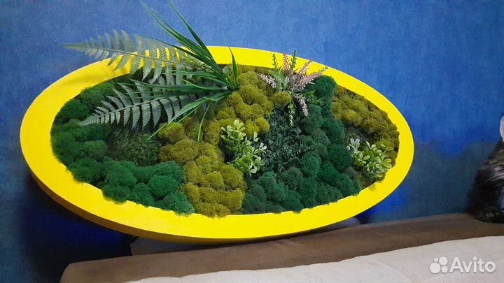 Настенная композиция из стабилизированного мха