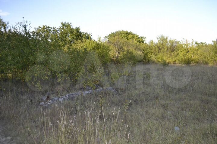 Участок 10 сот. (СНТ, ДНП)