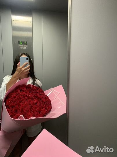 Розы 101 роза красные розы