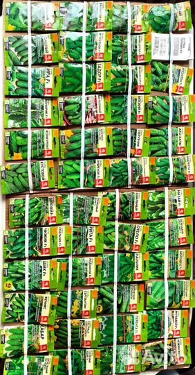 Семена Алтая в Троицке