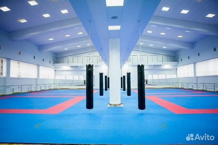 Будо маты ласточкин хвост