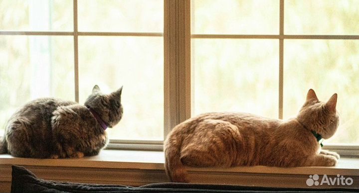 Камера. монтаж. установка. настройка