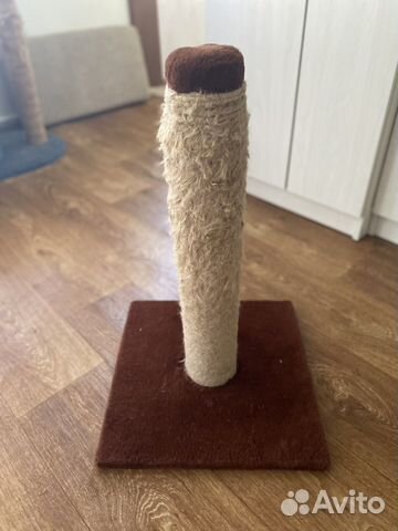 Когтеточка для кошек