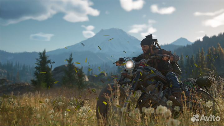 Days Gone (Steam)
