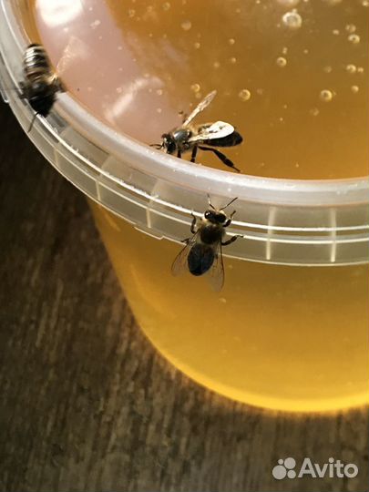 Мёд и продукты пчеловодства Месягутово