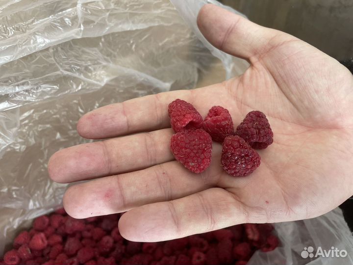 Малина,смородина