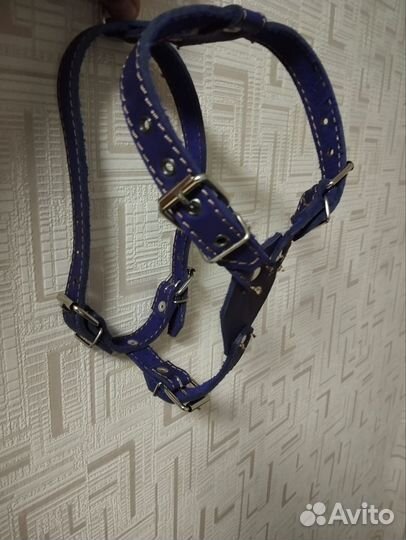 Шлейка для собак