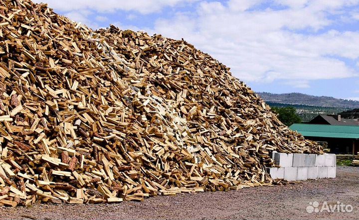 Дрова осина ольха береза