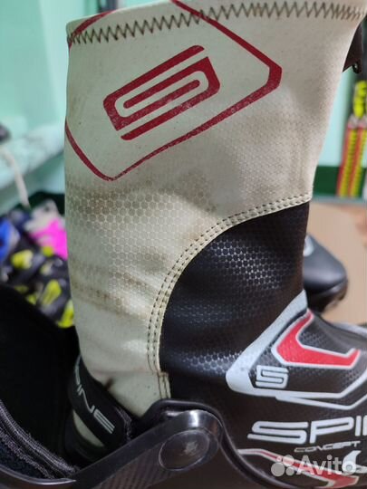 Лыжные ботинки spine