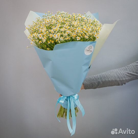 Букет 101 ромашка кустовая кустовая, цветы доставк