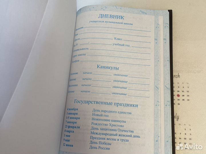 Музыкальный дневник