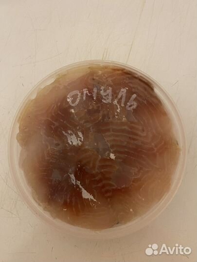 Рыба Севера