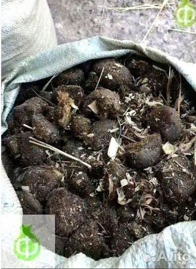 Навоз в мешках с доставкой в Апрелевке
