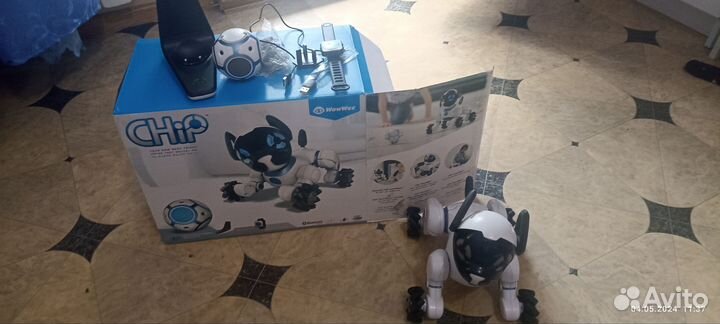 Робот собака chip