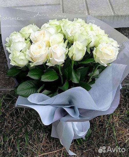 Розы гиганты 140 150 160 170 180 200