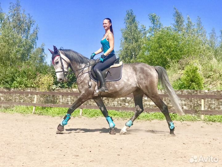 Фотосессии с лошадьми